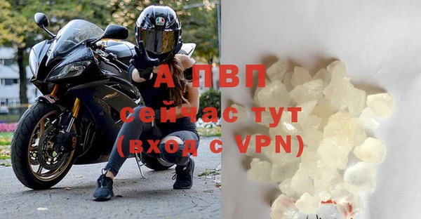 СК Абаза