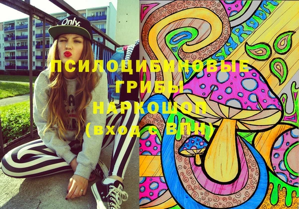 гашик Абинск