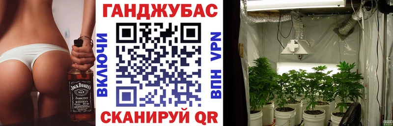Конопля сатива Елизаветинская